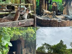 -长鹿旅游休博园