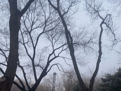 -元大都城垣遗址公园