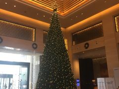 -成都保利公园皇冠假日酒店(熊猫基地店)