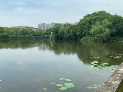 -新江湾城公园