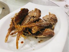 -梅龙镇酒家(南京西路总店)