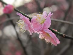-北京鹫峰国家森林公园