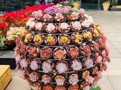 -南通洲际绿博园