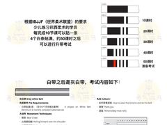-勇气斑马·巴西柔术&跆拳道(浦东三林店)