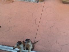 -南戴河国际娱乐中心