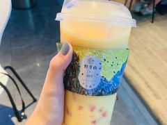 -野萃山·潮汕厚果汁(十亩地店)