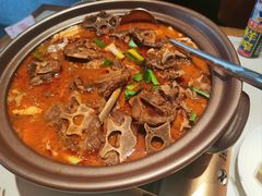-杨氏青龙虾·羊蝎子(金盛路总店)