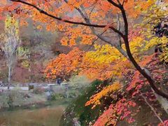 -本溪老边沟风景区