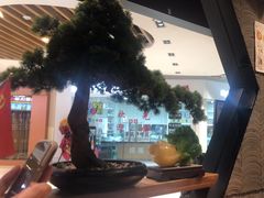 -呷哺呷哺(普陀乐购真北店)