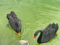 -水上乐园·欢乐世界