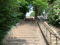 -风车面包
