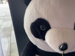 -眉州东坡(翠微印象城店)