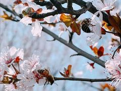 -东山风景区(洞庭东山)