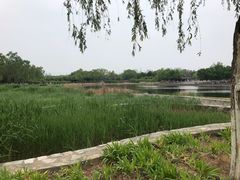 -永定河休闲森林公园