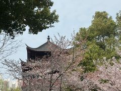 -堤角公园
