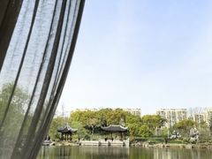 -高东镇樱花园