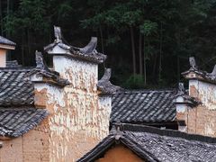 -杨家堂村