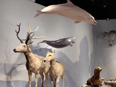 -中国湿地博物馆