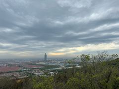 -华西村