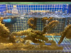 -川骄海鲜自助(河东店)