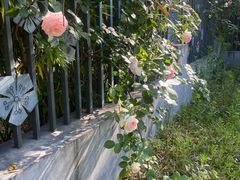 -杭州观成实验学校