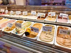 -Dooley's Premium Ice Cream