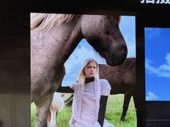 -Apple零售店(深圳益田假日广场店)