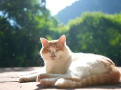 -苍岩山风景名胜区