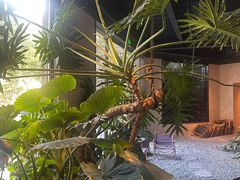 -J Create城市露营咖啡·简餐·宠物(上海动物园店)