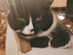 -么么咖啡(燕郊店)