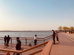-丁香湖公园