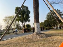 -九科绿洲