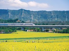 -光明小镇欢乐田园