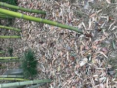 -上海市龙华烈士陵园