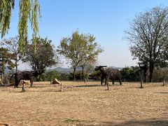 -北京西山国家森林公园