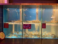 水产区-钳真多钓虾馆·小龙虾海鲜烧烤(九六广场店)