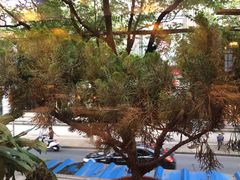 -维吾尔餐厅(宜山路店)