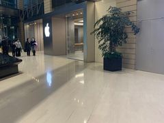 -Apple零售店(华贸购物中心店)