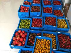 -江杨农产品批发市场