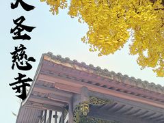 -古大圣慈寺