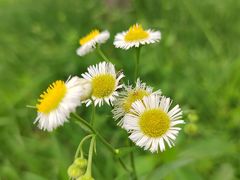 -洋湖国家湿地公园