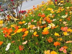 -百伦百货(简阳店)