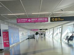-郑州新郑国际机场-T2航站楼