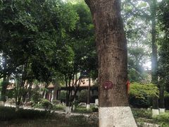 -南岳大庙