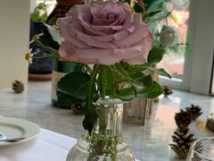 -蝶舍·MAISON PAPILLON