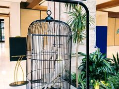 -太湖饭店玉兰厅(自助餐厅)