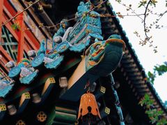 -迎泽公园