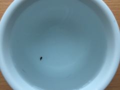 -香港铜锣湾维景酒店