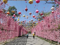 -北京凤凰岭
