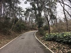 -青龙山国家森林公园